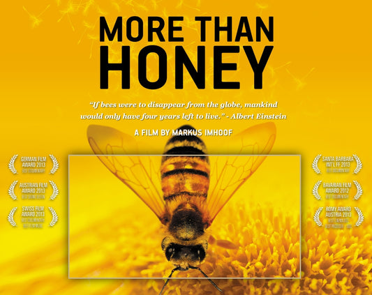 Evening Out - PeTA Movie Screening of "More Then Honey"